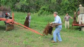 Winemakers At 12 Corners Winery & Vineyard Planting Grape Vines